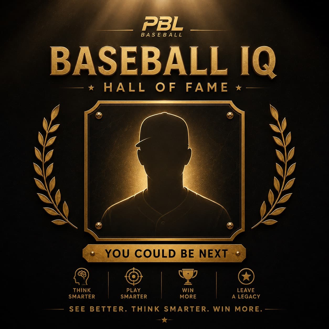 Anonymous future PBL Baseball IQ Hall of Fame candidate silhouette
